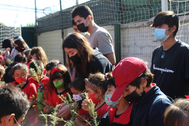 Creación de los ramitos