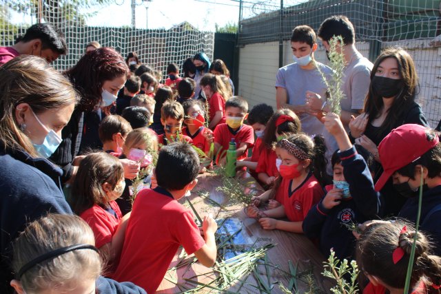 Creación de los ramitos