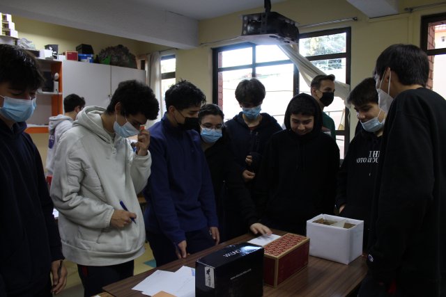 WEB NSDC 2022 - Presentación Trabajos de Ilustración III Medios - Electivo Arte - 06