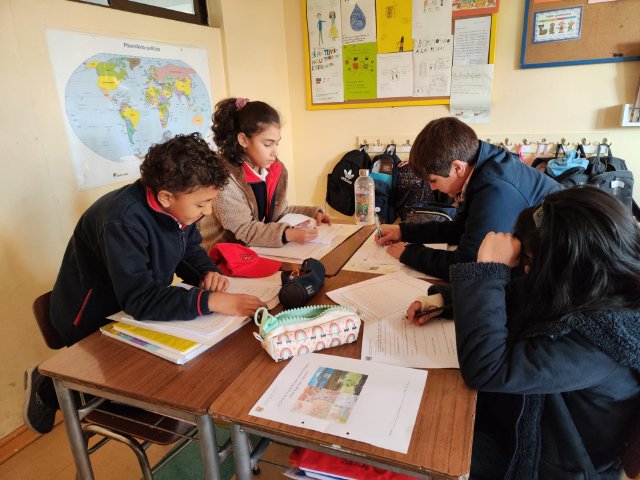 WEB NSDC 2023 - Proyecto Interdisciplinario 4° Básicos, 1° Parte - A4