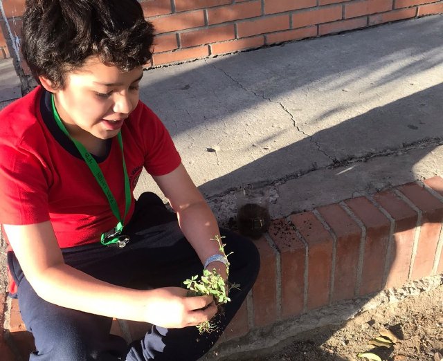 WEB NSDC 2023 - Proyecto Interdisciplinario 4° Básicos, 1° Parte - C07