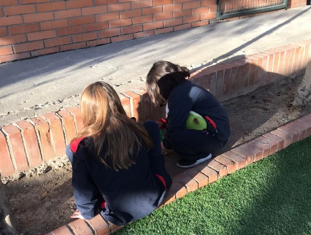 WEB NSDC 2023 - Proyecto Interdisciplinario 4° Básicos, 1° Parte - C11