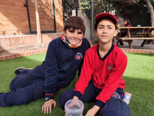 WEB NSDC 2023 - Proyecto Interdisciplinario 4° Básicos, 1° Parte - C15