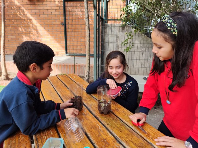 WEB NSDC 2023 - Proyecto Interdisciplinario 4° Básicos, 1° Parte - C21