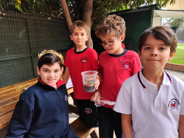 WEB NSDC 2023 - Proyecto Interdisciplinario 4° Básicos, 1° Parte - C22