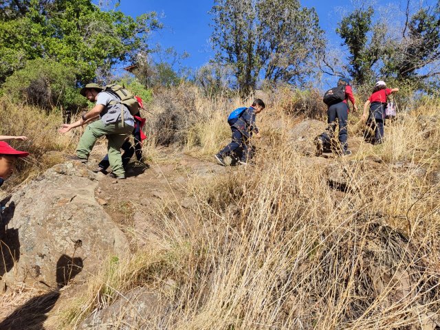 WEB NSDC 2023 - Proyecto Interdisciplinario 4° Básicos 1° Parte - Salida Parque Mahuida - 30