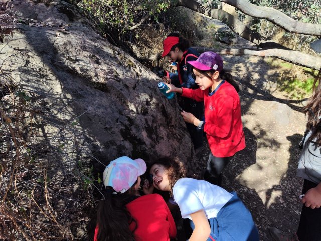 WEB NSDC 2023 - Proyecto Interdisciplinario 4° Básicos 1° Parte - Salida Parque Mahuida - 33