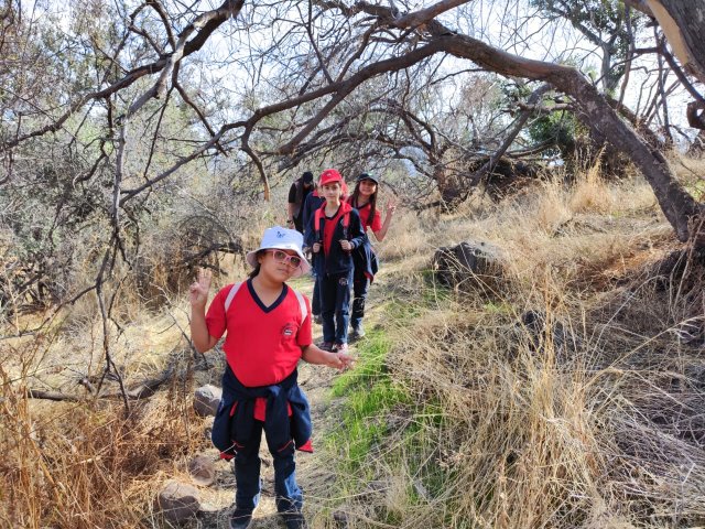 WEB NSDC 2023 - Proyecto Interdisciplinario 4° Básicos 1° Parte - Salida Parque Mahuida - 36