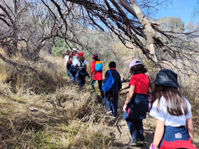 WEB NSDC 2023 - Proyecto Interdisciplinario 4° Básicos 1° Parte - Salida Parque Mahuida - 37