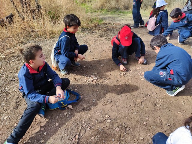 WEB NSDC 2023 - Proyecto Interdisciplinario 4° Básicos 1° Parte - Salida Parque Mahuida - 41