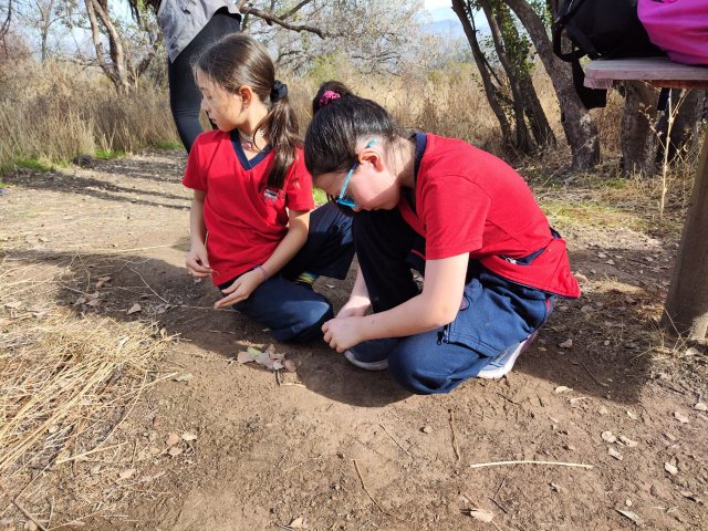 WEB NSDC 2023 - Proyecto Interdisciplinario 4° Básicos 1° Parte - Salida Parque Mahuida - 42