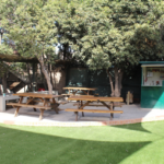 WEB NSDC 2023 - Instalaciones del colegio - 04