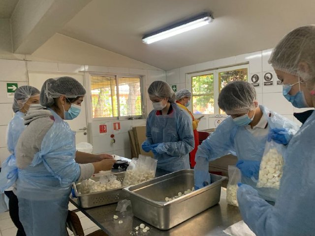 WEB NSDC 2023 - 7° Básico A - Apostolado de los 7° Básicos - Fundación Cerro Navia Joven05