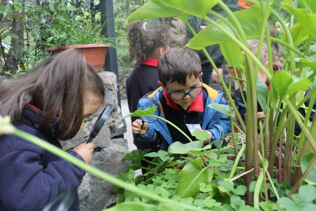 WEB-NSDC-Salidas-Pedagógicas-en-el-1°-Ciclo-21