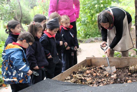 WEB-NSDC-Salidas-Pedagógicas-en-el-1°-Ciclo-212