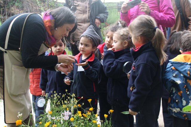 WEB-NSDC-Salidas-Pedagógicas-en-el-1°-Ciclo-213