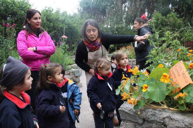 WEB-NSDC-Salidas-Pedagógicas-en-el-1°-Ciclo-22