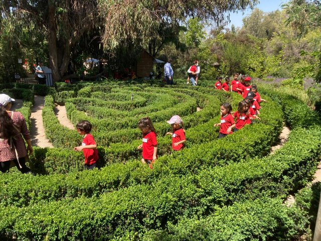 WEB-NSDC-Salidas-Pedagógicas-en-el-1°-Ciclo-314