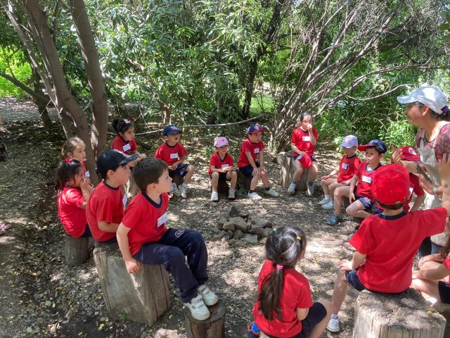 WEB-NSDC-Salidas-Pedagógicas-en-el-1°-Ciclo-316