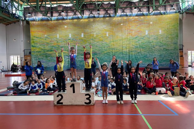 Torneos Liga LEGA Nivel 1 e inicial