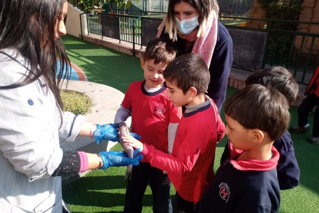 NSDC 2024 - 1° Ciclo conmemora el Mes del Mar