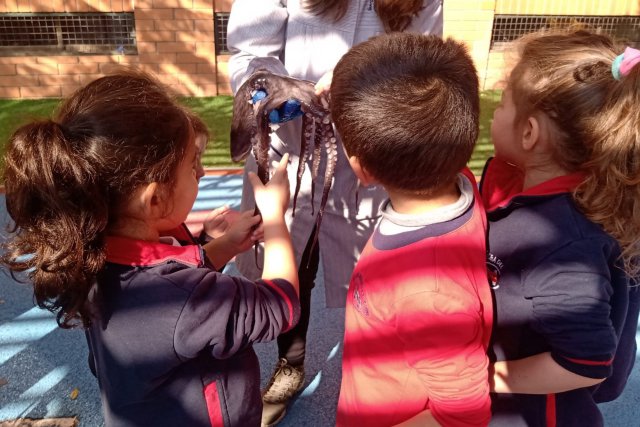 NSDC 2024 - 1° Ciclo conmemora el Mes del Mar