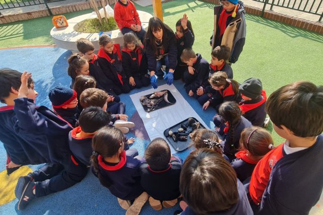 NSDC 2024 - 1° Ciclo conmemora el Mes del Mar