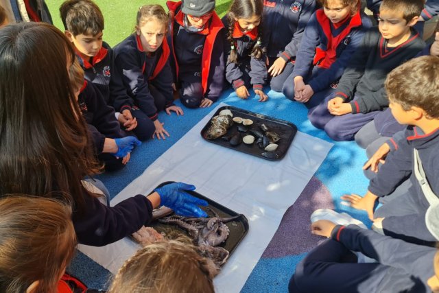 NSDC 2024 - 1° Ciclo conmemora el Mes del Mar