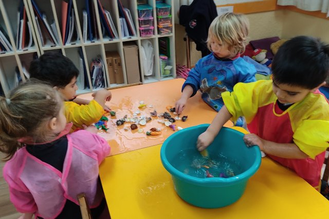 NSDC 2024 - Caminantes en el Mes del Mar