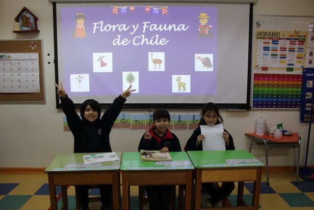 NSDC&2024&ProyectoInterdisciplinario&1°Básicos-A-03