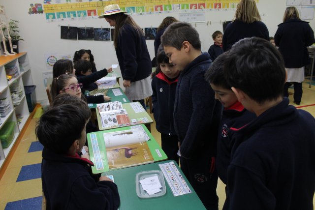 NSDC&2024&ProyectoInterdisciplinario&1°Básicos-B-30