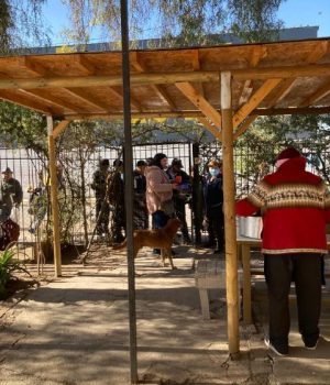 WEB NSDC 2023 - Agradecimientos a apoderadas de NSDC - Acción.nsdc - accion.nsdc - 1