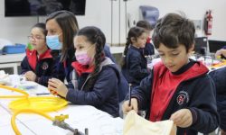 Experimento en laboratorio