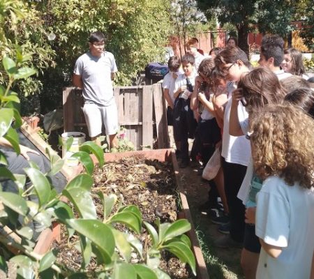 Huertas Urbanas de la Aldea del Encuentro