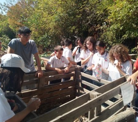 Huertas Urbanas de la Aldea del Encuentro