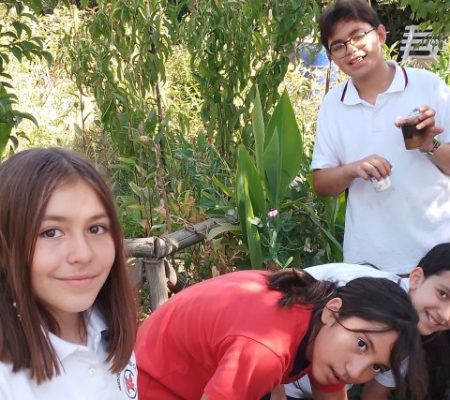 Huertas Urbanas de la Aldea del Encuentro